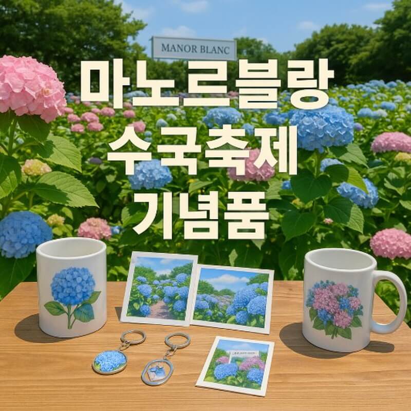 마노르블랑 수국축제 기념품 (추천, 정보, 활용법) 관련사진