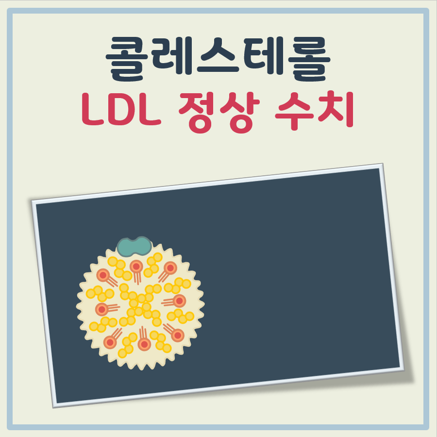 콜레스테롤 LDL 정상수치