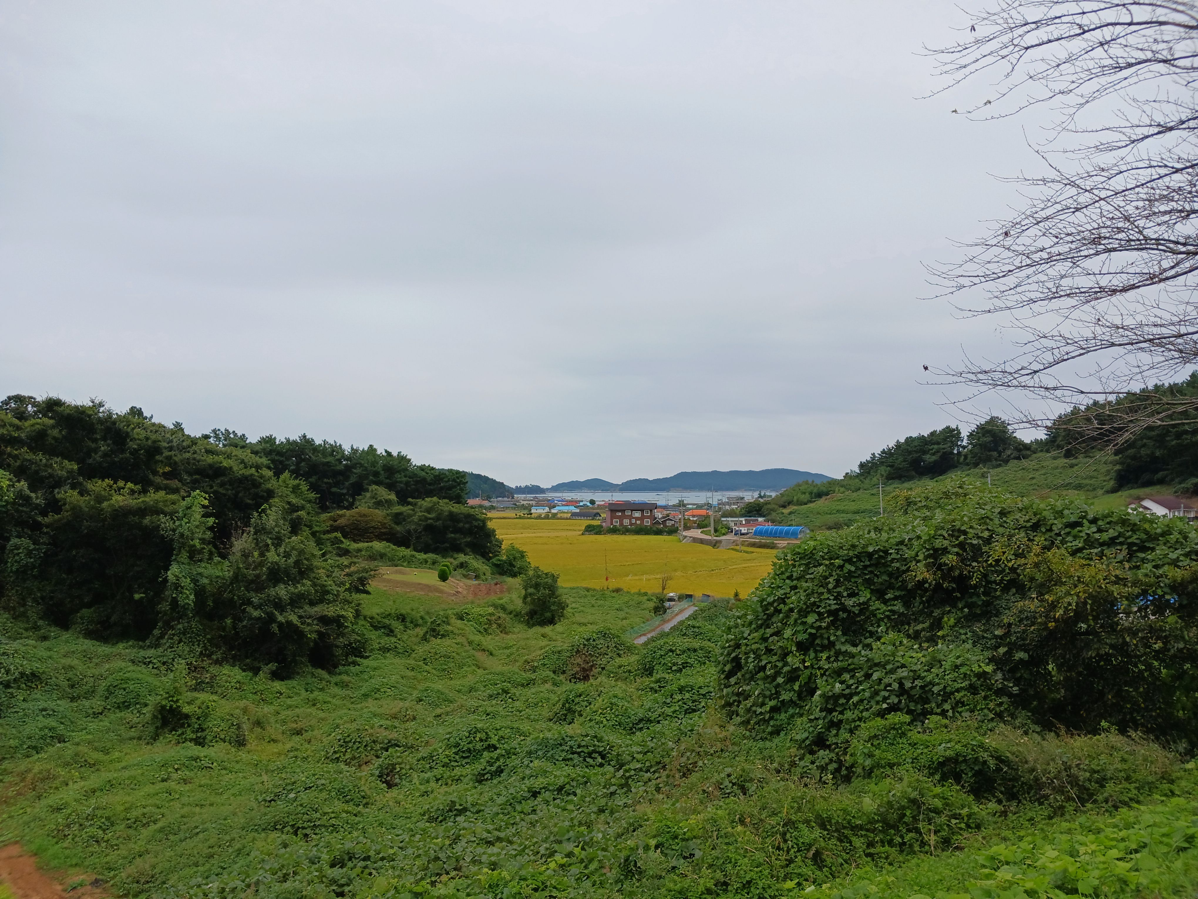 고남패총박물관