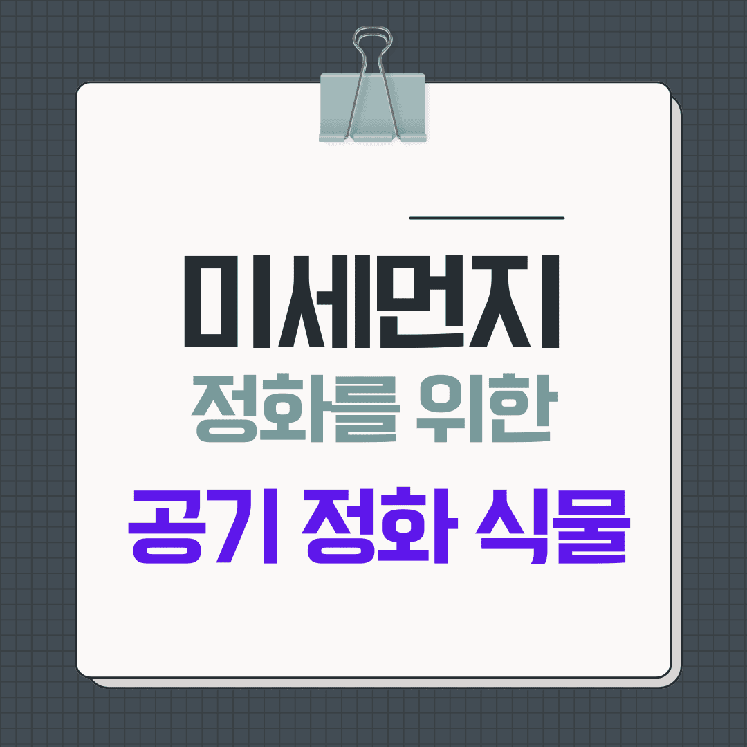 미세먼지 제거에 효과적인 공기 정화 식물