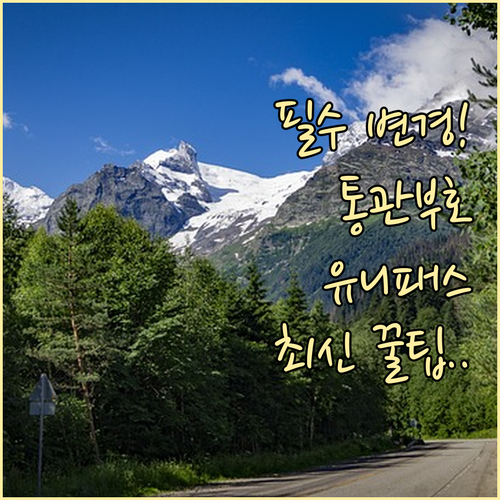 관세청 유니패스 개인통관부호 연동 정..