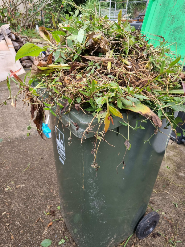 퇴직 후 일상&amp;#44; 정원 가꾸기