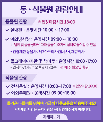 관람안내