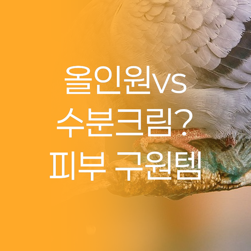 올인원 vs 수분크림? 우르오스, 닥..