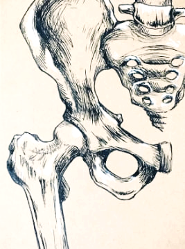 골반 통증 원인