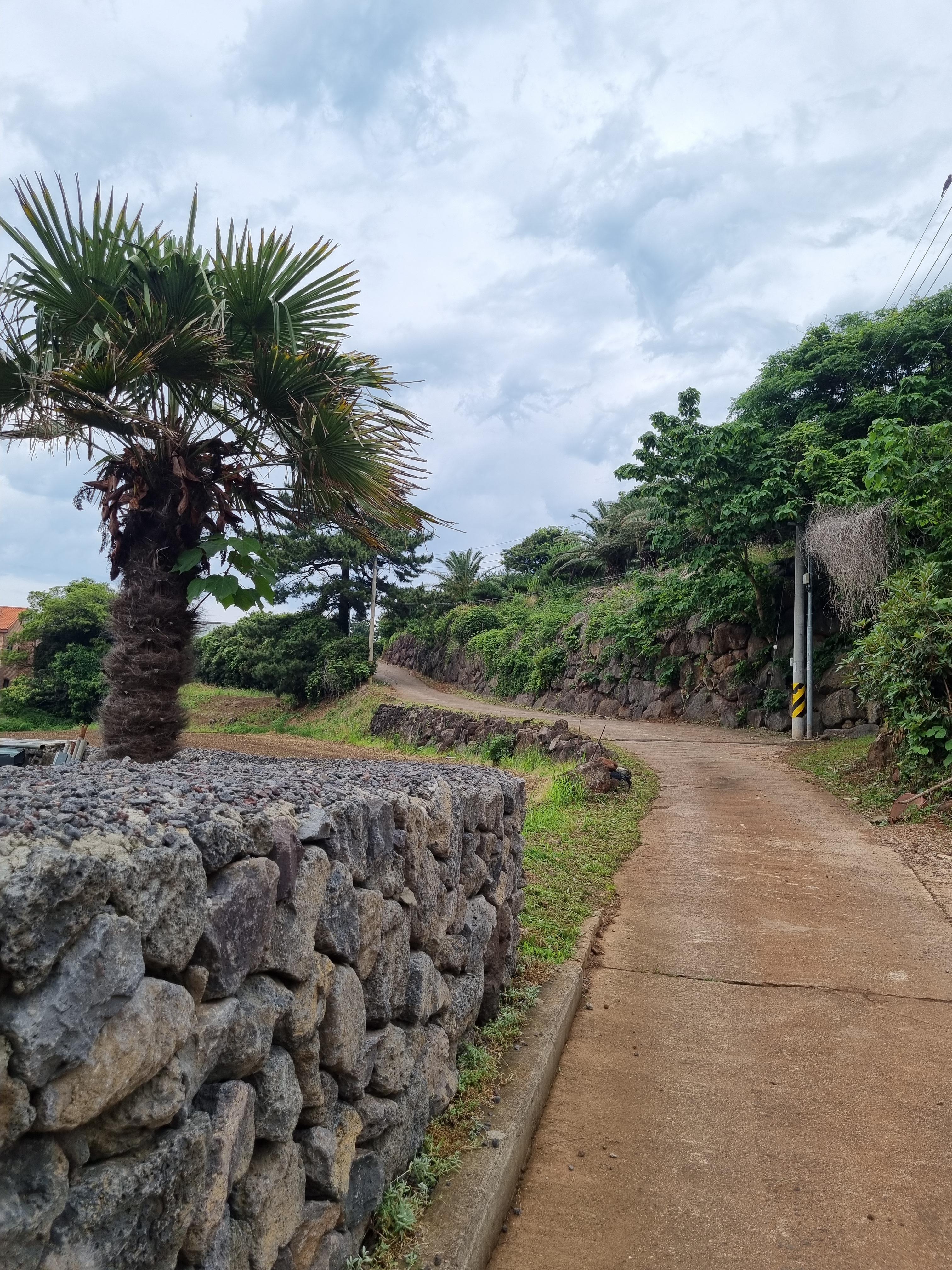 Jeju Olle Trail 18
