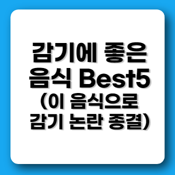 겨울 감기에 좋은 음식
