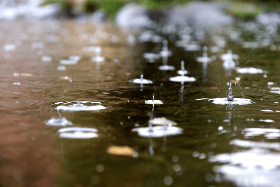촉촉한 비 내리는 날의 힐링 여행