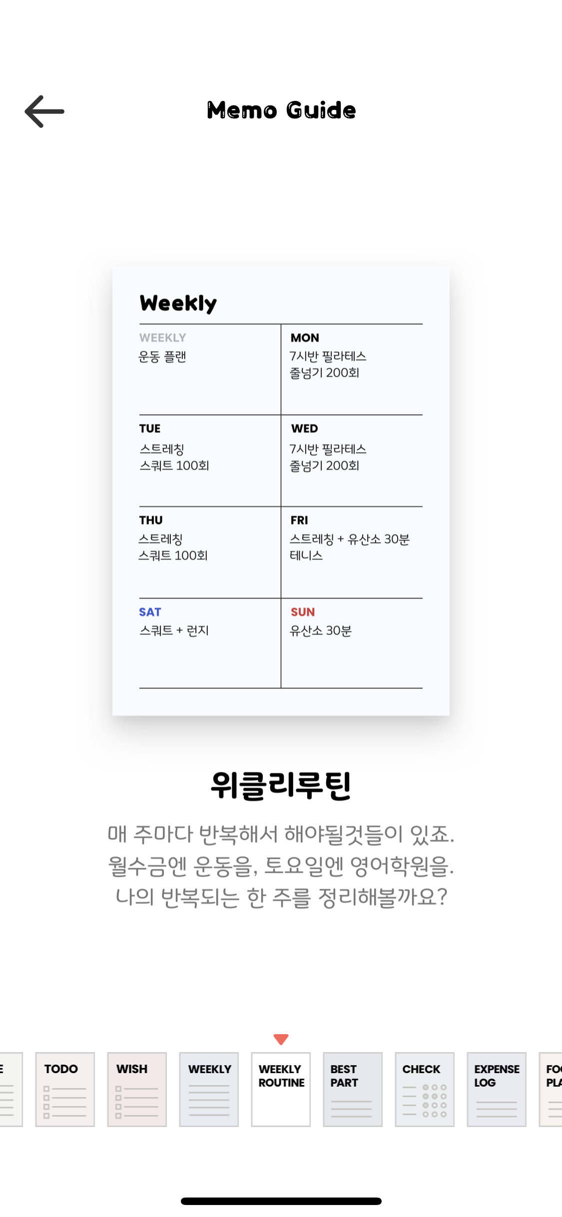 메몽 위클리루틴