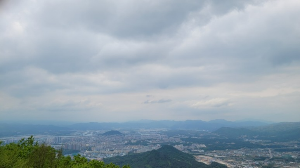 금병산정상