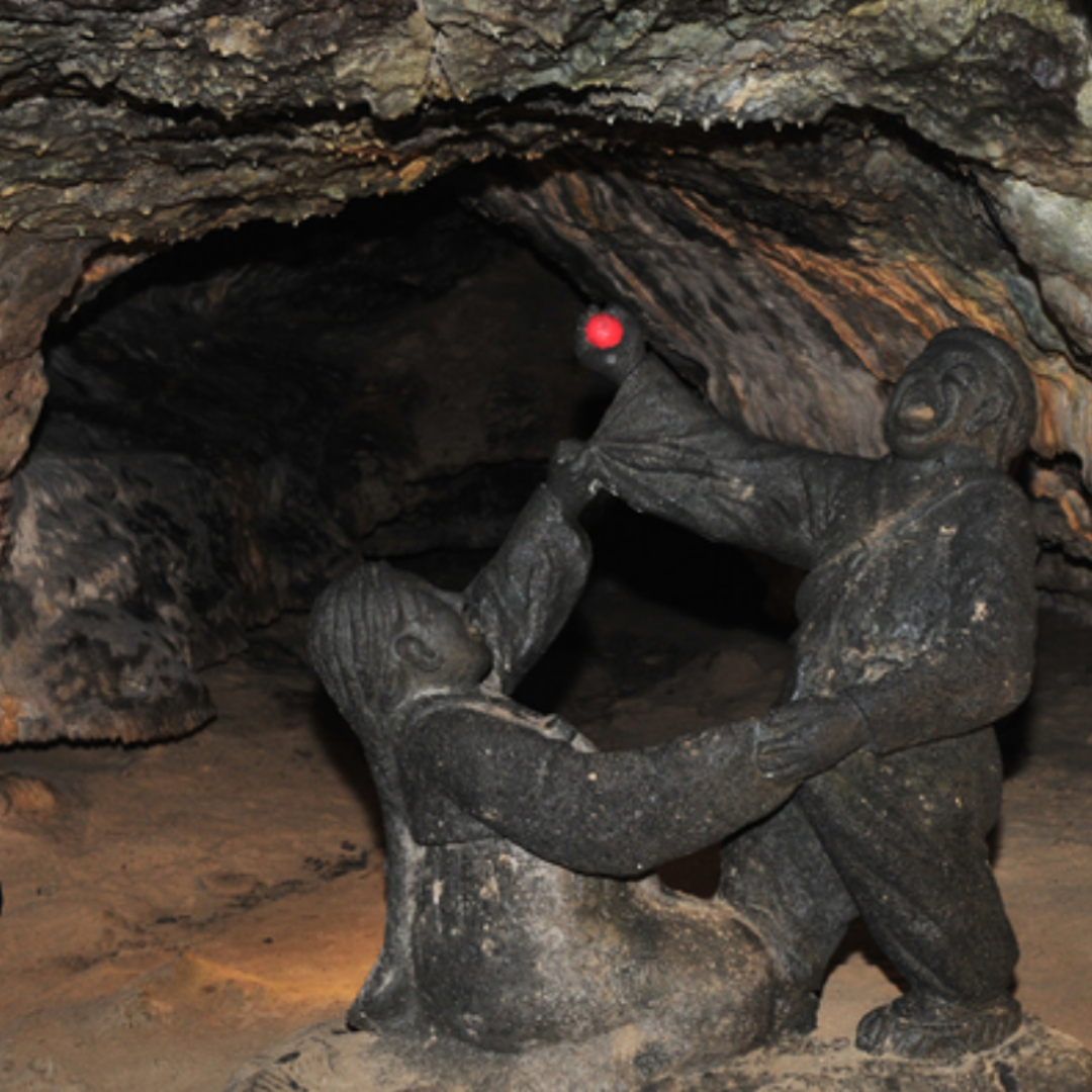 한림공원수국축제