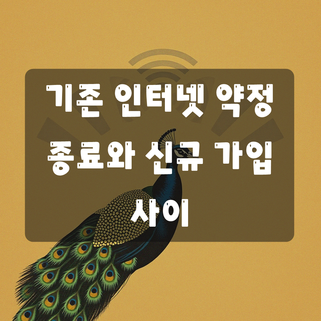 기존 인터넷 해지 후 신규 설치 시 궁금한 점들