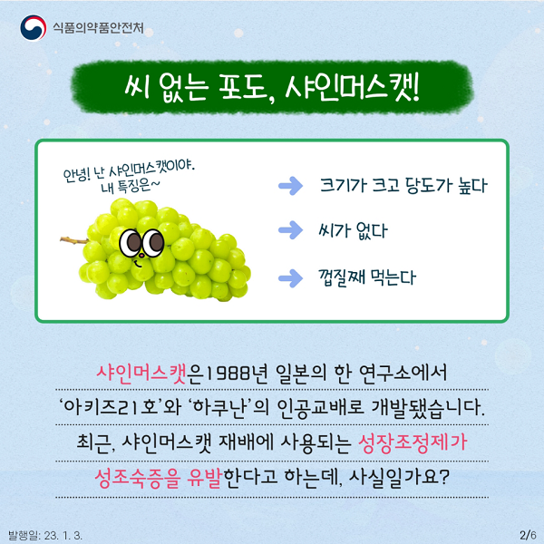 씨 없는 포도 샤인 머스캣