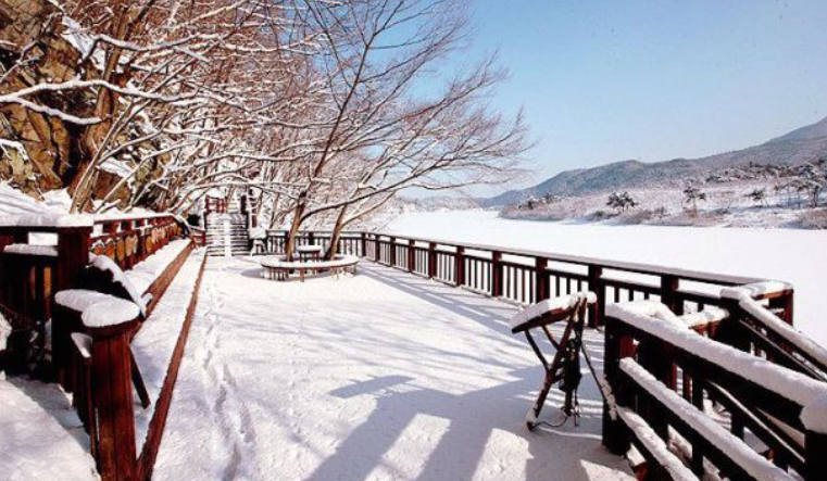 1월 충청북도 가볼만한곳 여행지 추천 ❘ 신년 새해 국내 겨울 나들이 ❘ 충청도 명소 ❘ 가족 실내 데이트