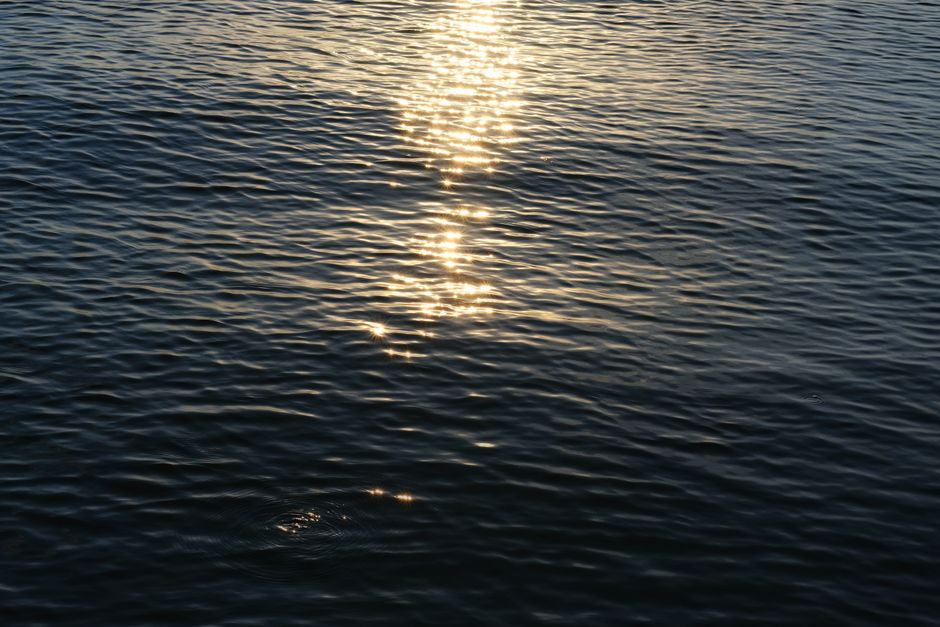 Capture of golden sunlight shimmering on a rippling water surface, creating a serene and calming effect.
