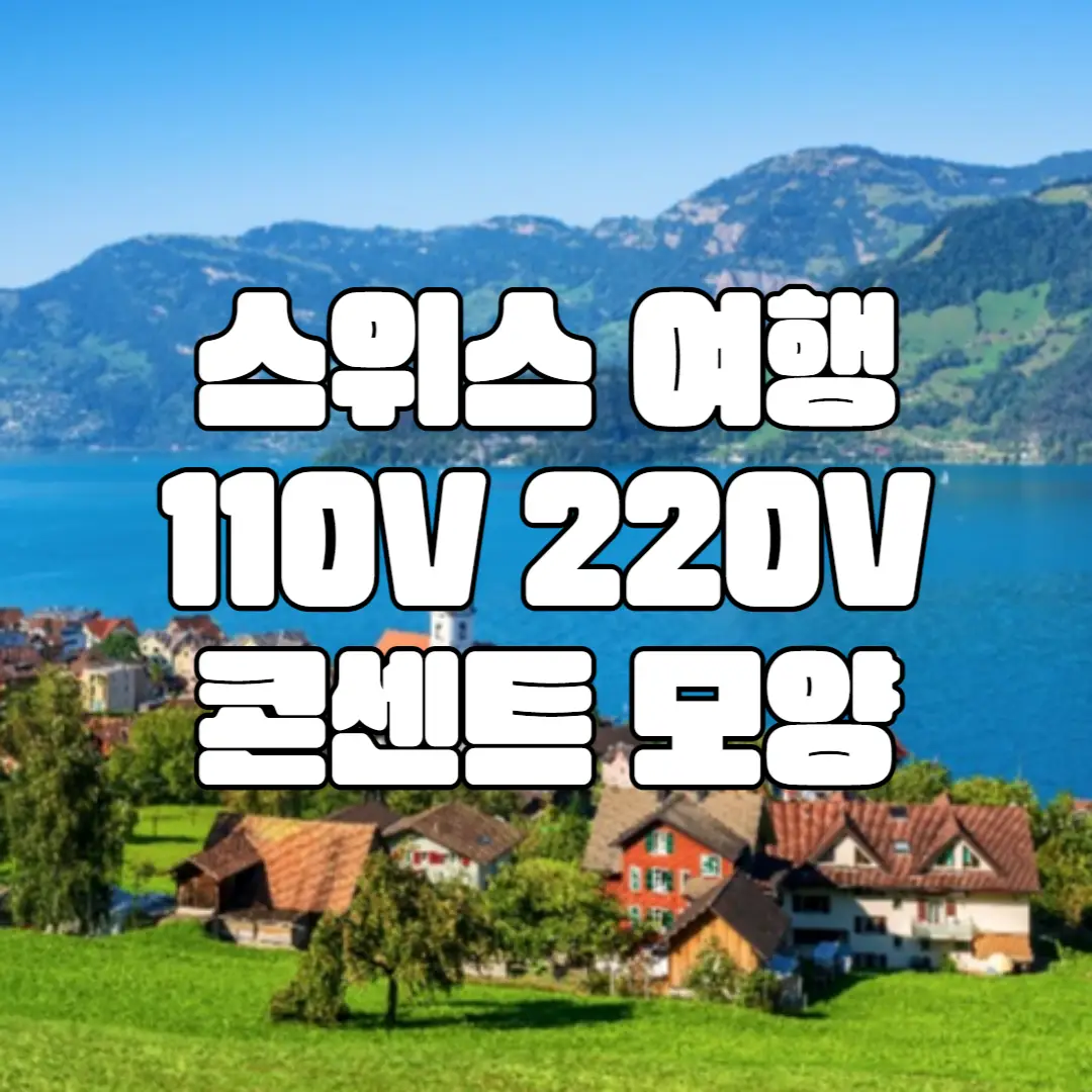 스위스 여행 변압기 준비