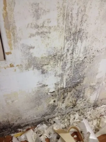 결로 제거 제습과 환기 단열 필름 붙이기 요령_6