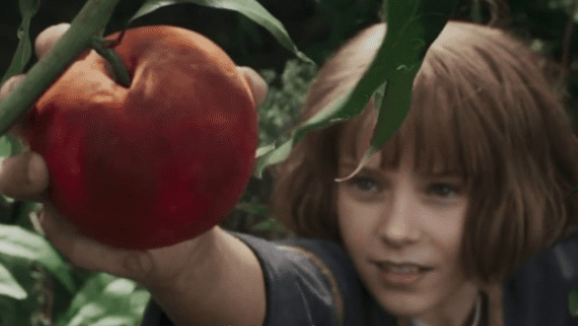 퓨리오사 매드맥스 사가 아역배우 알릴라 브라운