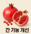 석류 효능