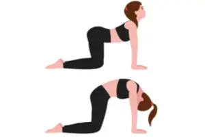 허리디스크에-좋은-운동