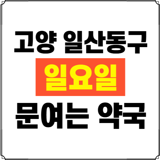 고양시 일산동구 일요일 약국 ❘ 24시 휴일 주말 문여는 비상 당직 약국