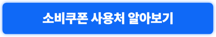 소비쿠폰 사용처 알아보기
