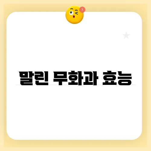 말린 무화과 효능