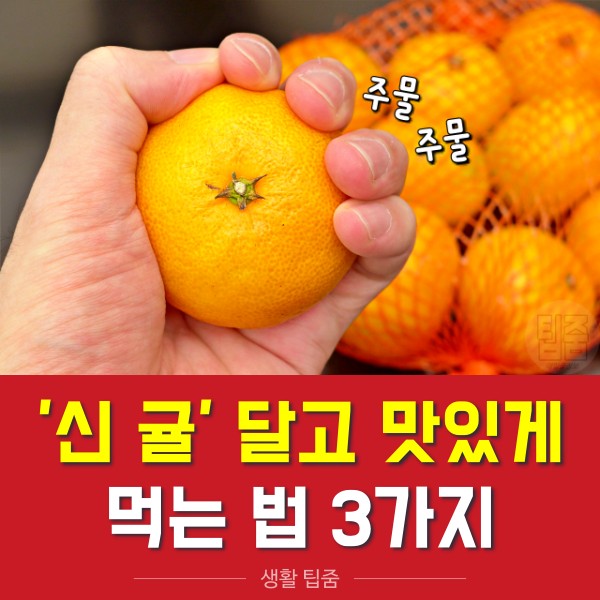 신 귤 맛있게하는법,신 귤 달게 먹는법,귤 구워먹기