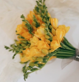 노란 프리지아 꽃말