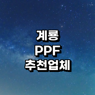 계룡시 ppf