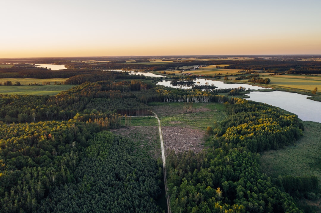 Forestry