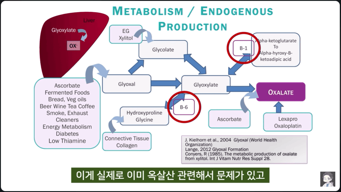 옥살산, 콩, 그리고 육식: 헷갈리는 건강 상식
