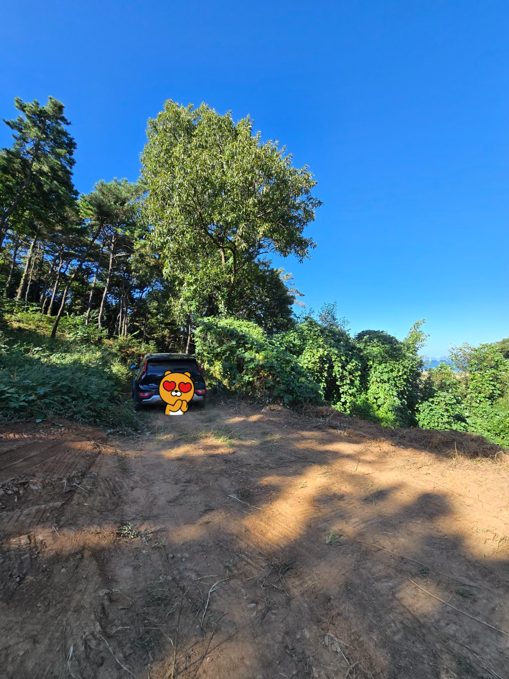 참나무숲의악동들체험장들어가는입구,이앞에주차를해도되어요