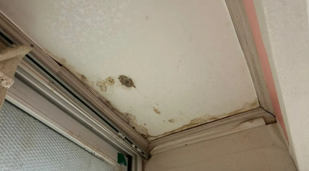 집이 배처럼 떠내려가기 전에! 장맛비 대비 체크리스트 꿀팁 모음