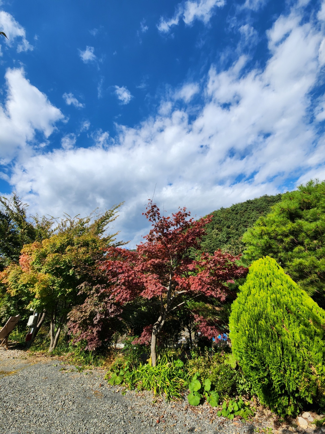 밀양 은하수캠핑 관광농원