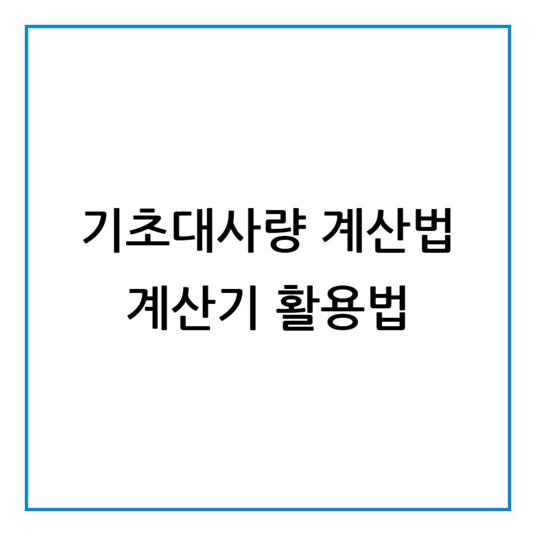 기초대사량 계산법