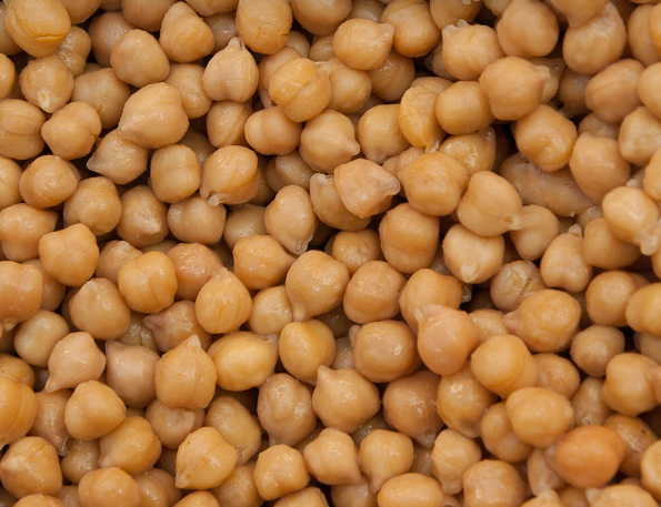 단백질이 풍부한 병아리콩