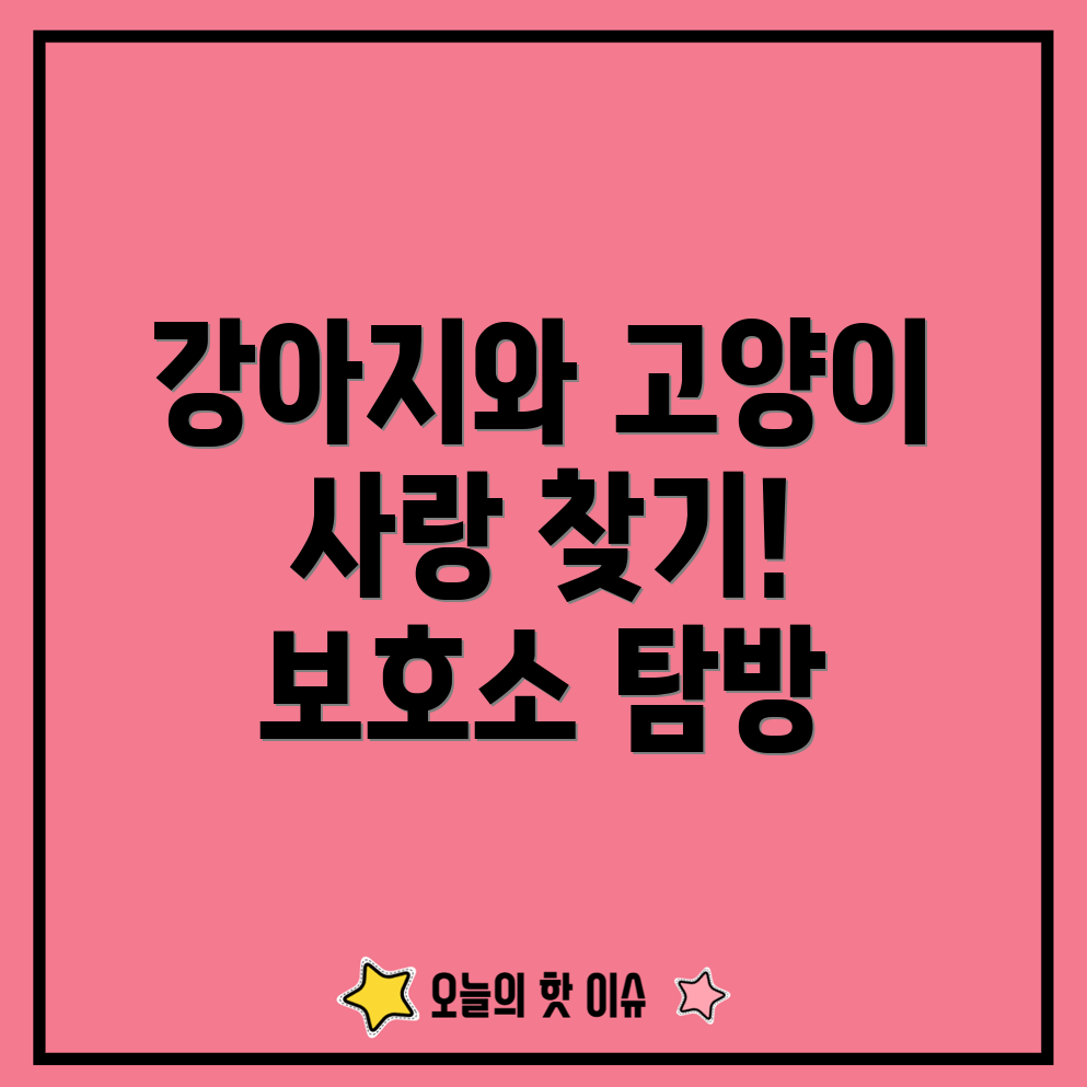 강릉 보호소