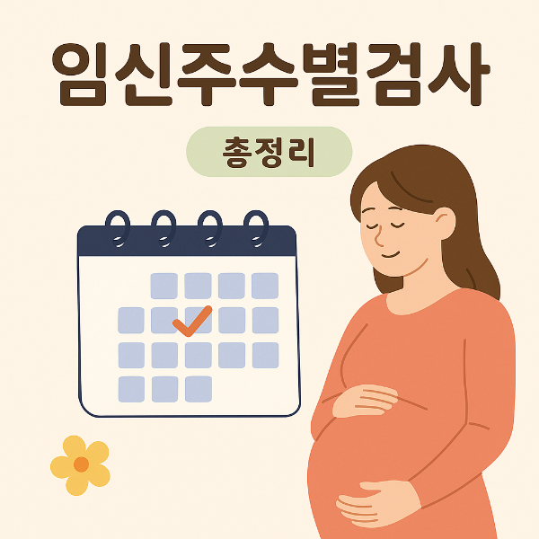 임산부가 임신주수별 검사내용을 확인하는 사진
