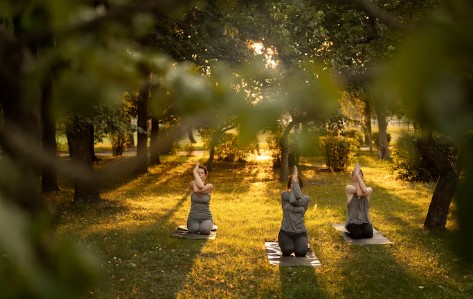 사계절의 변화와 자연 속에서 느끼는 감정
