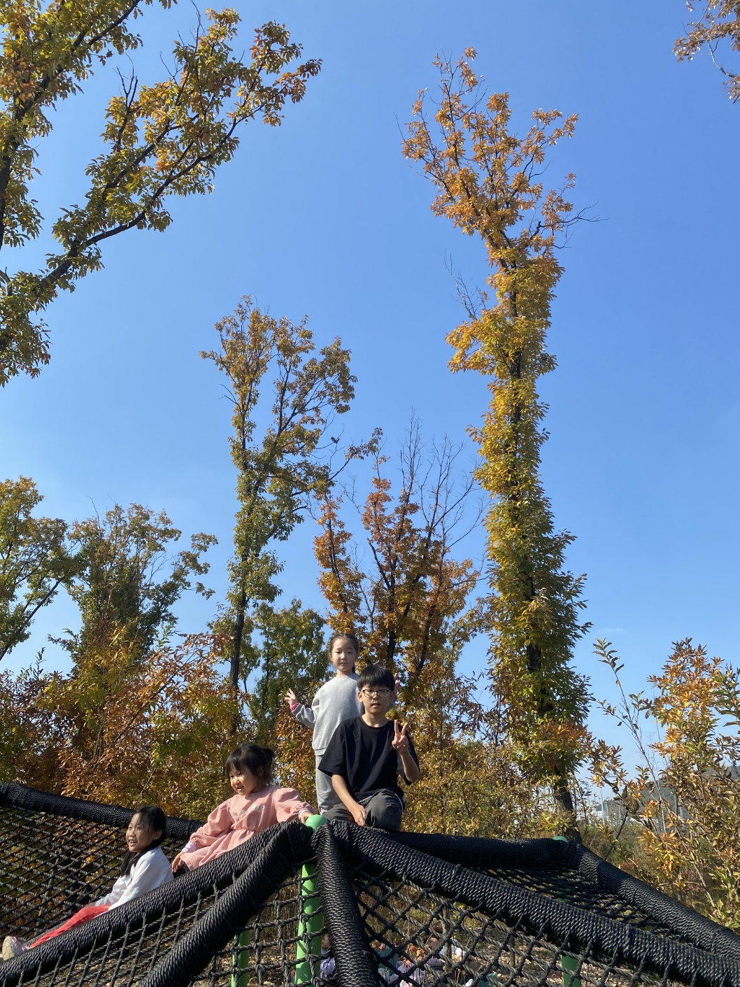 세종 아이와 가볼 만 한 곳 (세종수목원)