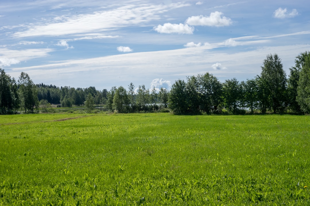 Mapleland