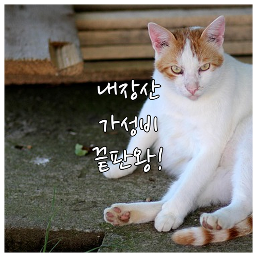 정읍 내장산 임실 옥정호 인근 가성비..