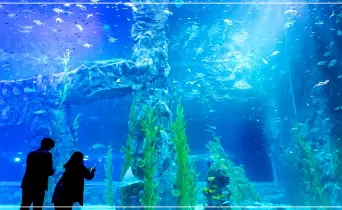 롯데월드-아쿠아리움-입장료-운영-시간-할인