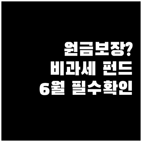 국민성장펀드 6월 정식 출시 비과세 ..