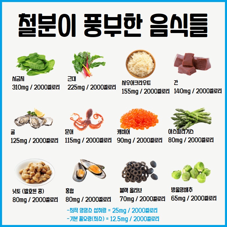 철분 풍부한 음식