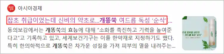 개똥쑥 효능 기사 이미지