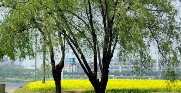 초여름 서울 섬 여행 코스