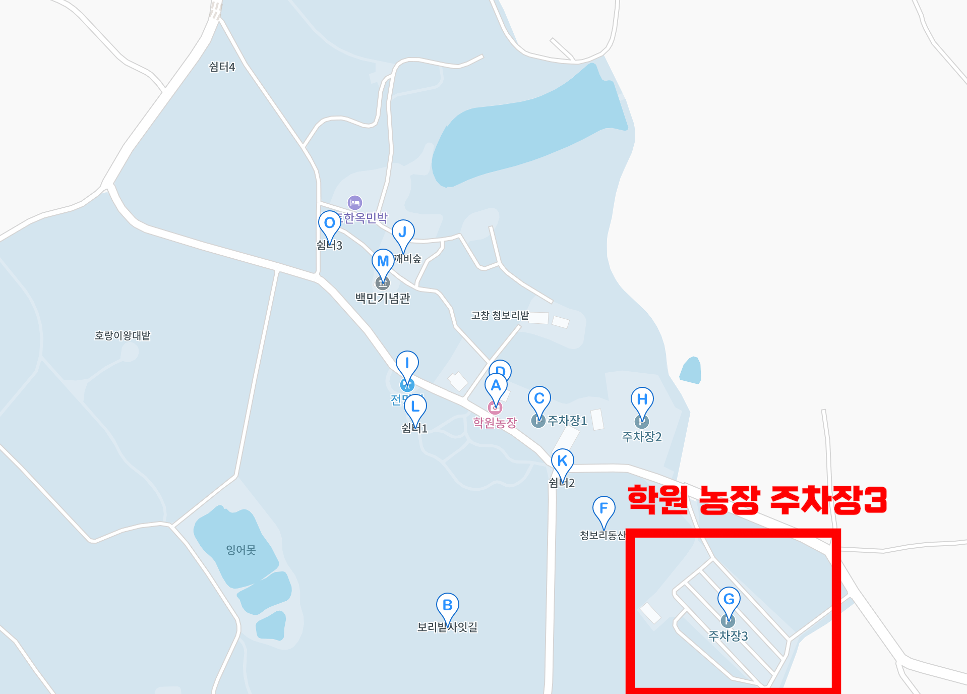 고창-청보리밭-축제