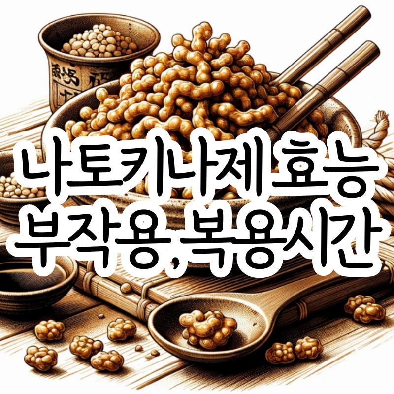 나토키나제 효능 부작용 나토키나아제 복용법